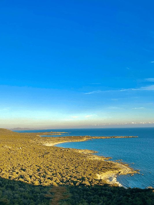 Caresse de la Mer - Juribti
